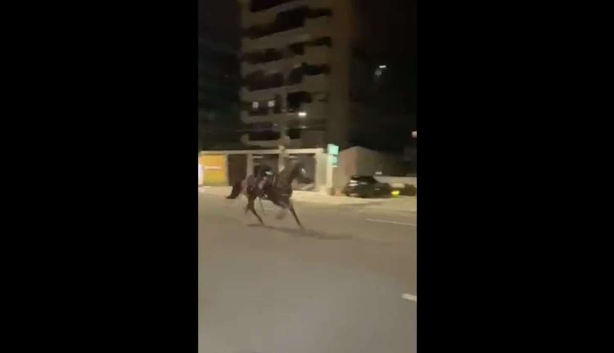 Cavalos da PM fogem assustados com fogos de São João; veja