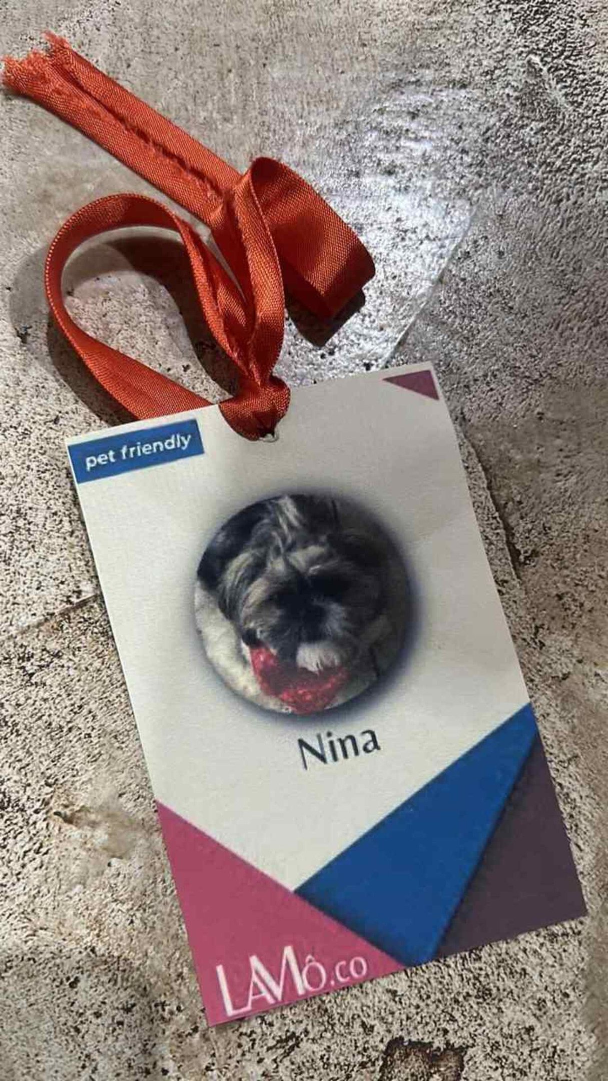 Crachá de Nina da empresa da sua tutora, LaMô.co