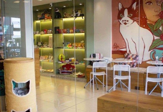 Reprodução/ Instagram/ betinacatcafe