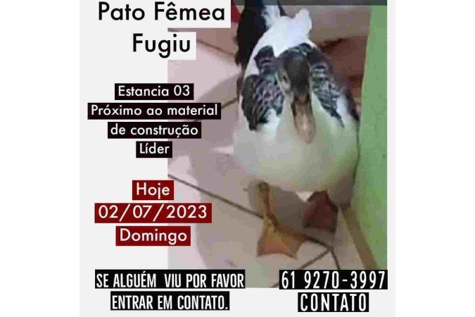 (crédito: Arquivo pessoal) (crédito: Arquivo pessoal)
