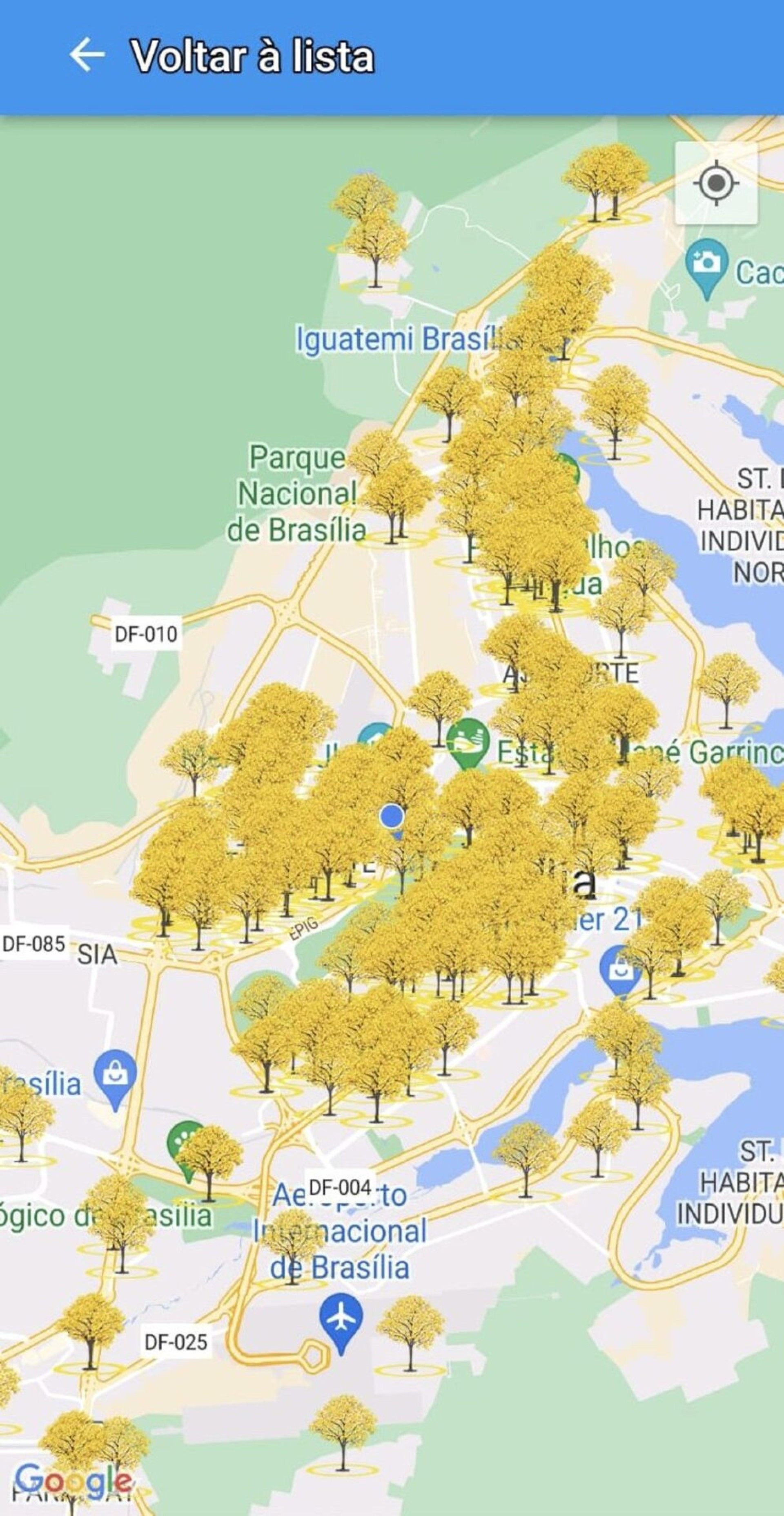  O Ipês baseia-se no conceito de ciência comunitária. Habitantes e visitantes identificam pés de ipês florindo em Brasília e produzem um inventário dessas árvores na cidade.