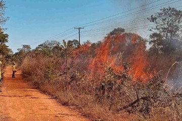 Ibram faz aceiro negro no Parque Ecológico Águas Emendadas para evitar os grandes estragos das queimadas -  (crédito: Mariana Saraiva/CB/D.A.Press)