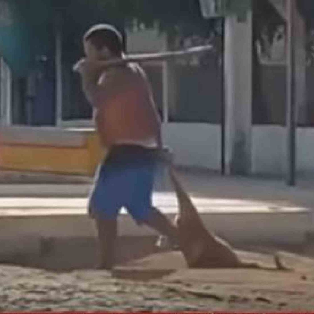 Homem mata cachorro a pauladas e arrasta corpo em rua no Ceará e é preso