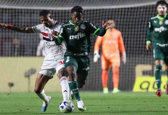 Cesar Greco/Palmeiras