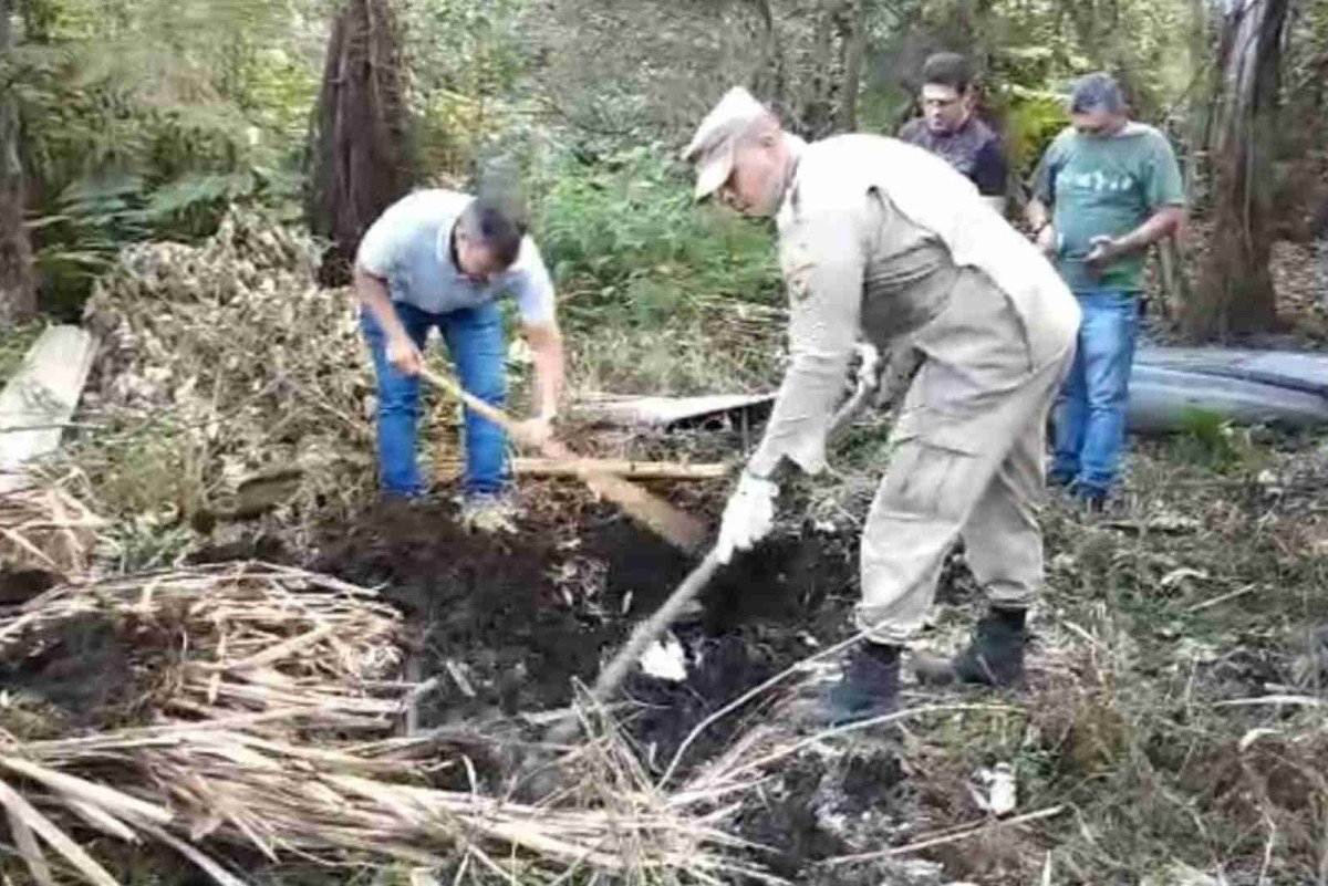 Mulher mata e enterra marido no Entorno após agressões e sexo forçado foto