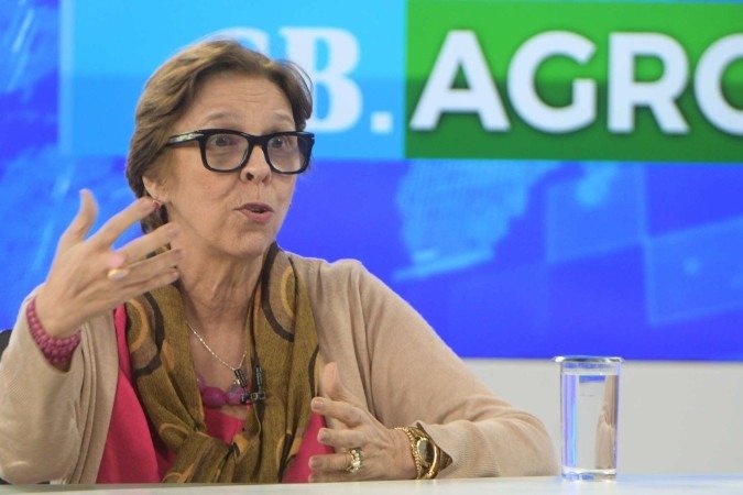 (crédito: Ed Alves/CB/DA.Press) (crédito: Ed Alves/CB/DA.Press)
