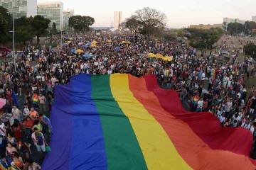 O Dia Internacional de Luta contra Homofobia e Transfobia foi oficialmente incluída no calendário nacional em 2010



 -  (crédito:  Ed Alves/CB/DA.Press)