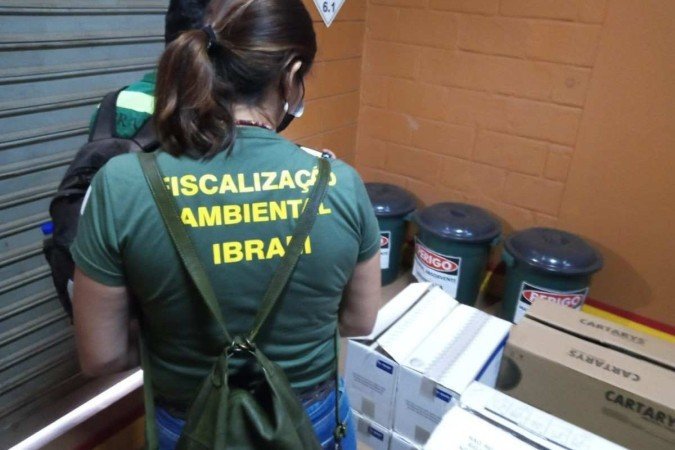 Agentes realizaram 1.410 ações de fiscalização ambiental no 1º semestre - (crédito: Ibram/Divulgação) Agentes realizaram 1.410 ações de fiscalização ambiental no 1º semestre - (crédito: Ibram/Divulgação)