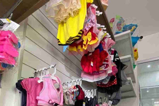 O Desapet é o primeiro brechó para pets em Brasília 