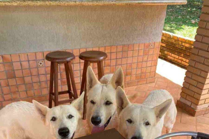 Os bolos de aniversário decorados são muito pedidos 