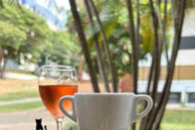 A proposta do My Cat Space é unir gato e café em um só lugar, 
as comidinhas servidas no café trazem características dos felinos 