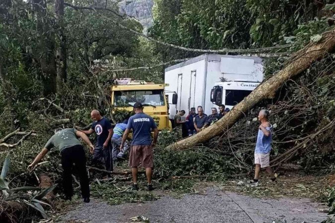 Árvores foram derrubadas devido a um vendaval e deixou a subida da BR 040, Serra de Petrópolis, na Região Serrana do Rio. - (crédito: Reprodução PR) Árvores foram derrubadas devido a um vendaval e deixou a subida da BR 040, Serra de Petrópolis, na Região Serrana do Rio. - (crédito: Reprodução PR)