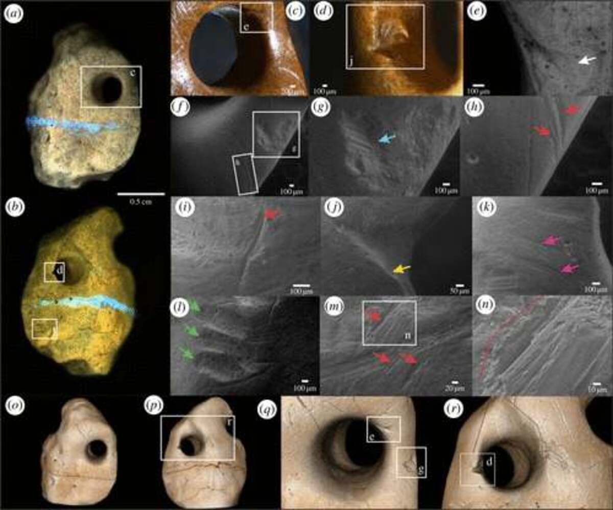 A análise dos artefatos encontrados pelos pesquisadores mostrou que os dentes foram moldados, o que indica que era usado como um ornamento pessoal