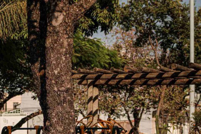  Praças sofrem com lixo e falta de manutenção pelo DF