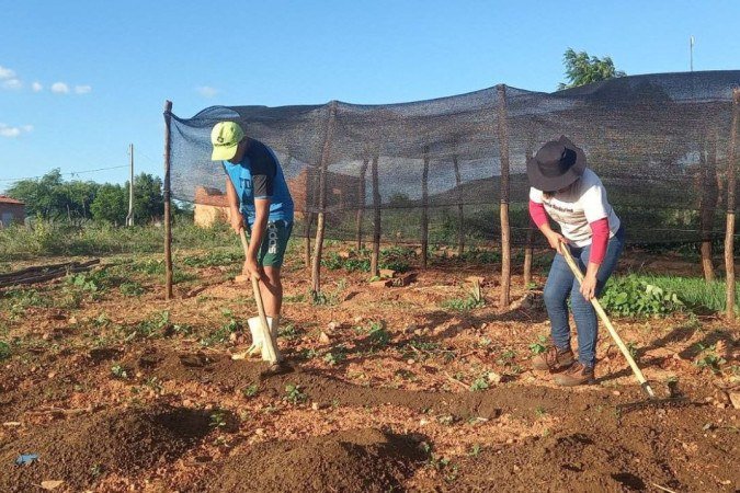 Tecnologia social que permite a produ....o de alimentos tem garantido seguran..a alimentar e gerado renda para comunidade quilombola S..o Martins, em Paulistana, sudoeste do Piau... Foto: EMBRAPA/Divulga....o.
- (crédito: EMBRAPA/Divulga....o) Tecnologia social que permite a produ....o de alimentos tem garantido seguran..a alimentar e gerado renda para comunidade quilombola S..o Martins, em Paulistana, sudoeste do Piau... Foto: EMBRAPA/Divulga....o.
- (crédito: EMBRAPA/Divulga....o)