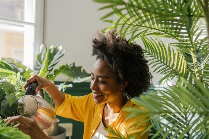 As plantas enfeitam a casa, mas elas purificam o ar? - (crédito: Getty Images) As plantas enfeitam a casa, mas elas purificam o ar? - (crédito: Getty Images)