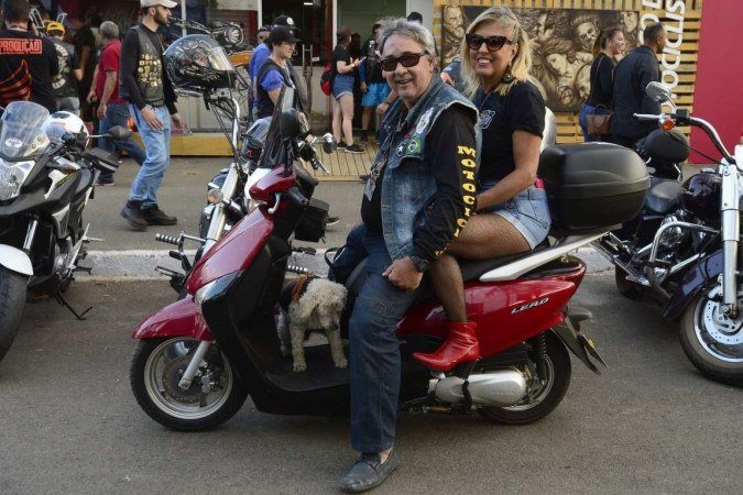  Cães gostam de rock e reggae. Tudo comprovado por Marco e o cachorrinho Kadu.