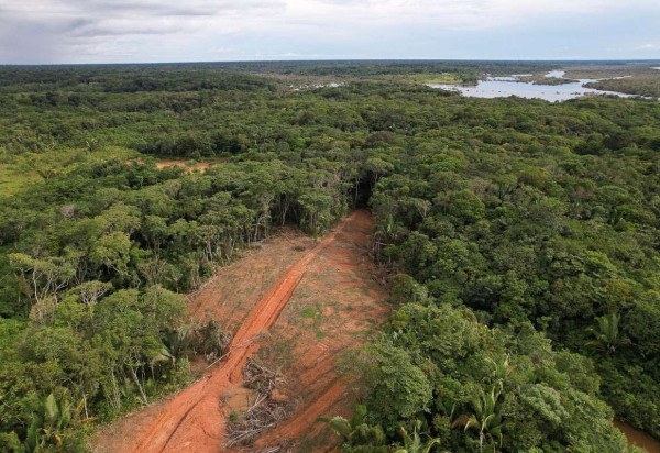 Alberto César Araújo/Amazônia Real