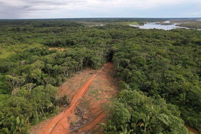 A doença não identificada que dizima as colheitas foi descoberta em 2022 na região sul de Haut-Maroni -  (crédito: Alberto César Araújo/Amazônia Real)