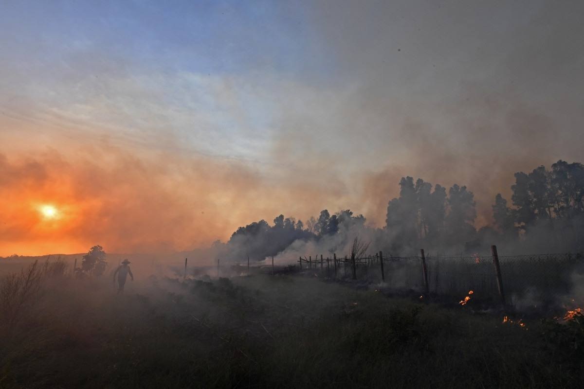 Incêndios florestais na Argélia deixam 15 mortos e 26 feridos