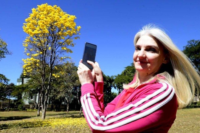 Moradora da 402 Norte, Jurema Valentini não se cansa de contemplar a florada que cobre a quadra nesta época do ano - (crédito: Marcelo Ferreira/CB/D.A Press) Moradora da 402 Norte, Jurema Valentini não se cansa de contemplar a florada que cobre a quadra nesta época do ano - (crédito: Marcelo Ferreira/CB/D.A Press)