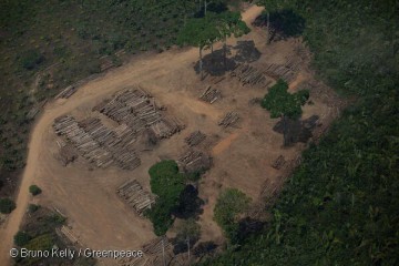 degradação dos biomas brasileiros representa entre 11% e 25% do território das vegetações nativas -  (crédito: Bruno Kelly/Greenpeace)