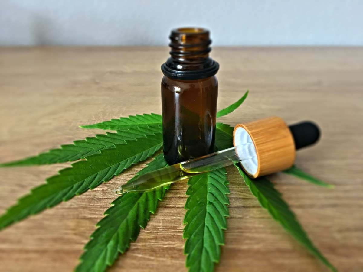 Cannabis medicinal reduz dependência de opioides em pacientes
