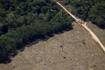 Área desmatada na Amazônia: Proposta que tramita no Congresso abre brechas para isenção de análise prévia de licenciamento, especialistas veem texto com preocupação -  (crédito: Daniel Beltra/Greenpeace)
