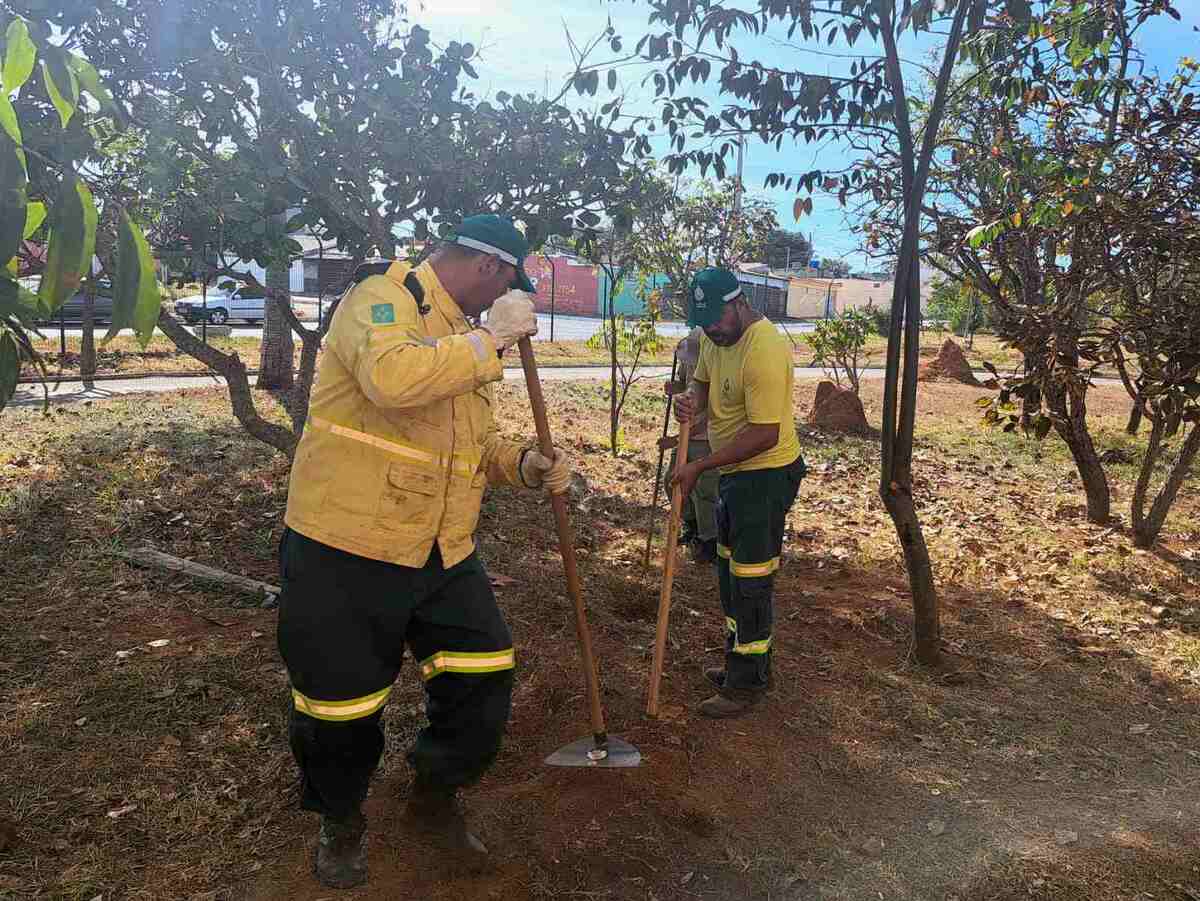 Divulgação: Instituto Brasília Ambiental