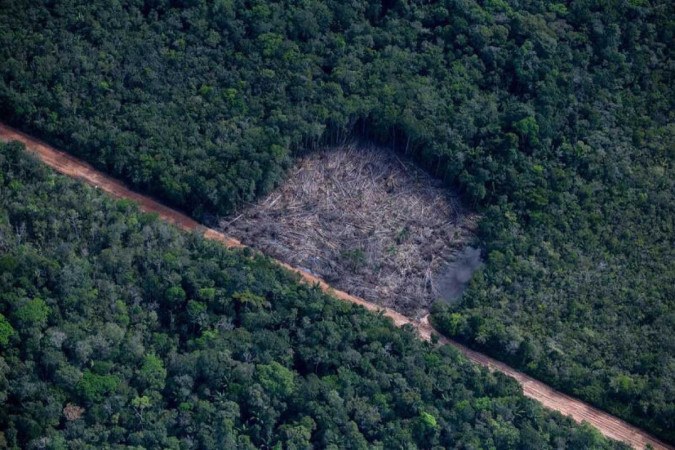 Destruição dentro de Terras Indígenas e Unidades de Conservação, em grande parte das vezes, ocorre por invasões legais, diz levantamento do Imazon -  (crédito: Christian Braga/Greenpeace)