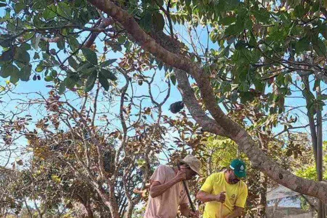 Os brigadistas não fazem só o trabalho de alerta e prevenção de incêndios. Eles ficam responsáveis, ao longo do período por toda a manutenção das unidades de conservação - (crédito: Divulgação: Instituto Brasília Ambiental) Os brigadistas não fazem só o trabalho de alerta e prevenção de incêndios. Eles ficam responsáveis, ao longo do período por toda a manutenção das unidades de conservação - (crédito: Divulgação: Instituto Brasília Ambiental)