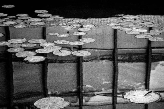 Exposição Geometrias cadentes, de Fred Lamego, na Referência Galeria de Arte