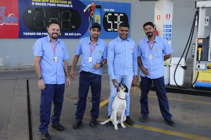  Charles, um vira-lata de aproximadamente 5 anos que foi "contratado" pelos funcionários do posto de gasolina da QND 60, perto da Praça do Bicalho, no Pista Norte. A vida do bichinho, depois de ser abandonado pelas ruas de Taguatinga Norte, era perambular perto do estabelecimento em busca de comida nas lixeiras.