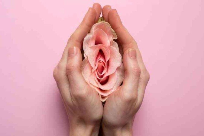 Guia de tipos de vagina: entenda anatomia para dar fim a mitos e tabus - (crédito: Pickisuperstar/Freepik) Guia de tipos de vagina: entenda anatomia para dar fim a mitos e tabus - (crédito: Pickisuperstar/Freepik)