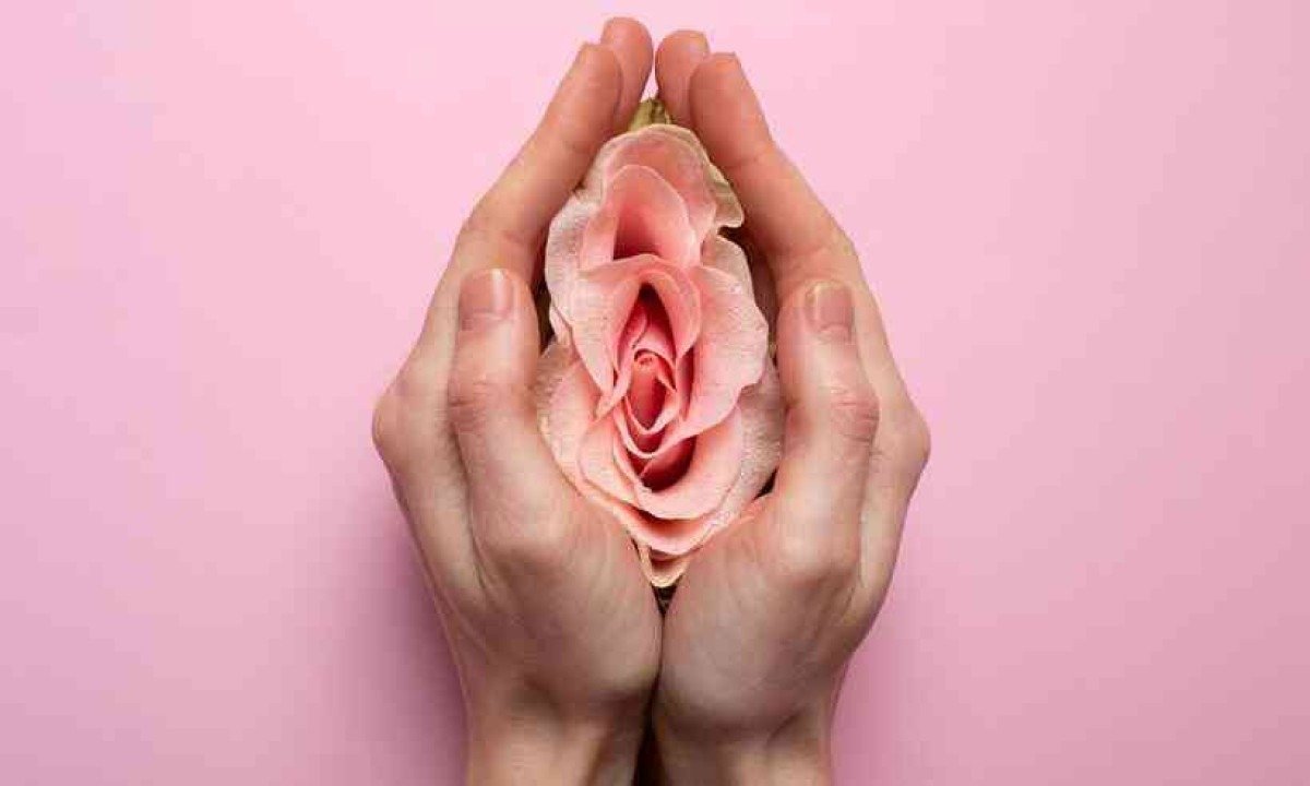 Guia de tipos de vulva: entenda anatomia para dar fim a mitos e tabus
