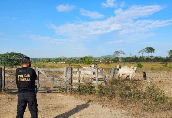 Reprodução/ divulgação Polícia Federal
