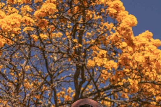   03/08/2023 Crédito: Kayo Magalhães/CB/D.A Press. Brasil. Brasilia - DF. Cidades. Ipê amarelo colore Brasília. Na foto, Marco Aurélio. 