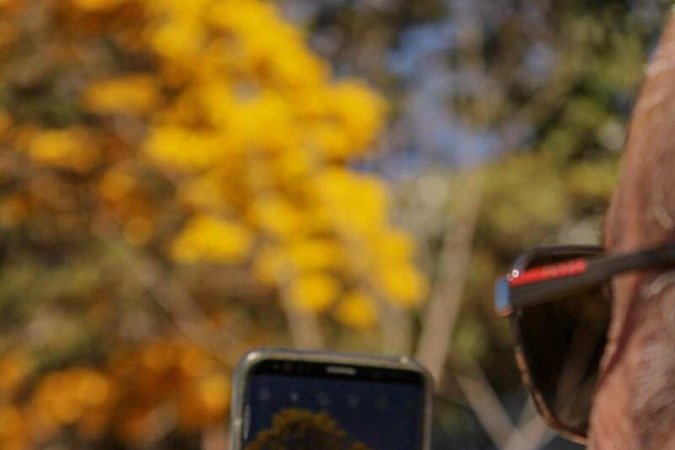   03/08/2023 Crédito: Kayo Magalhães/CB/D.A Press. Brasil. Brasilia - DF. Cidades. Ipê amarelo colore Brasília. Na foto, Marco Aurélio. 