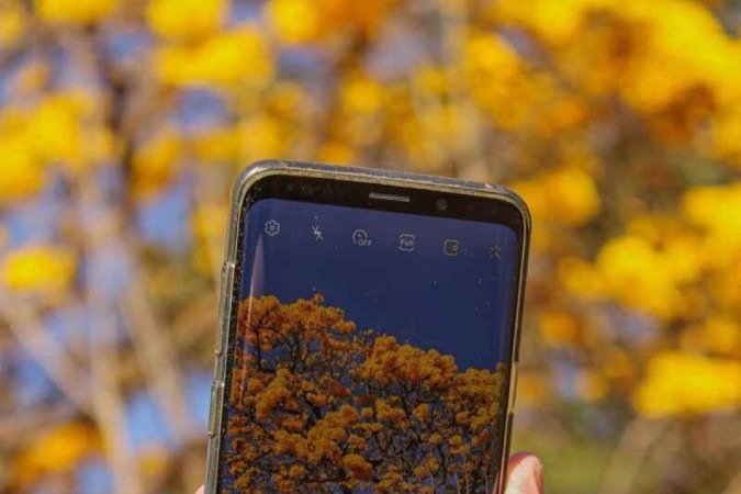   03/08/2023 CrÃ©dito: Kayo MagalhÃ£es/CB/D.A Press. Brasil. Brasilia - DF. Cidades. IpÃª amarelo colore BrasÃ­lia. Na foto, Marco AurÃ©lio. 