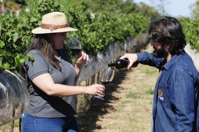 Irmãos investem no cultivo de castas especiais, que deverão ser comercializadas a partir de 2024
- (crédito: Fotos: Minervino Júnior/CB/DA Press) Irmãos investem no cultivo de castas especiais, que deverão ser comercializadas a partir de 2024
- (crédito: Fotos: Minervino Júnior/CB/DA Press)