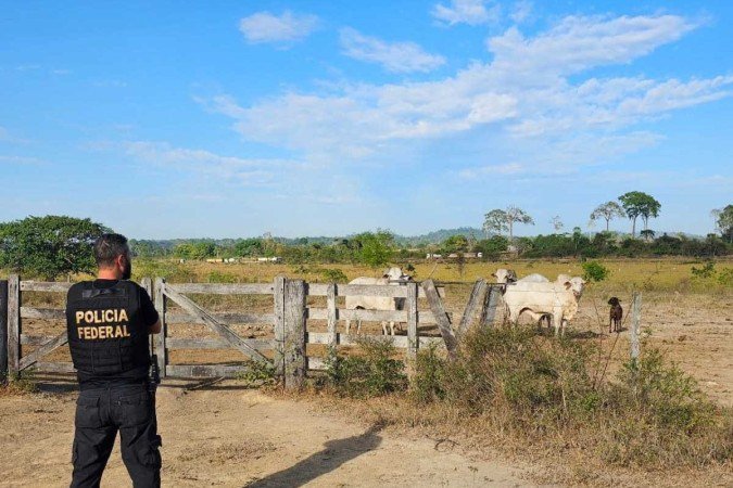 Polícia Federal realiza operação contra grileiros da Amazônia. - (crédito: Reprodução/ divulgação Polícia Federal) Polícia Federal realiza operação contra grileiros da Amazônia. - (crédito: Reprodução/ divulgação Polícia Federal)