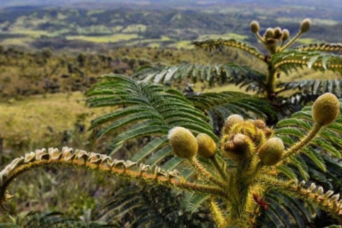 Emater lança projeto que transforma fazendas em destinos turísticos