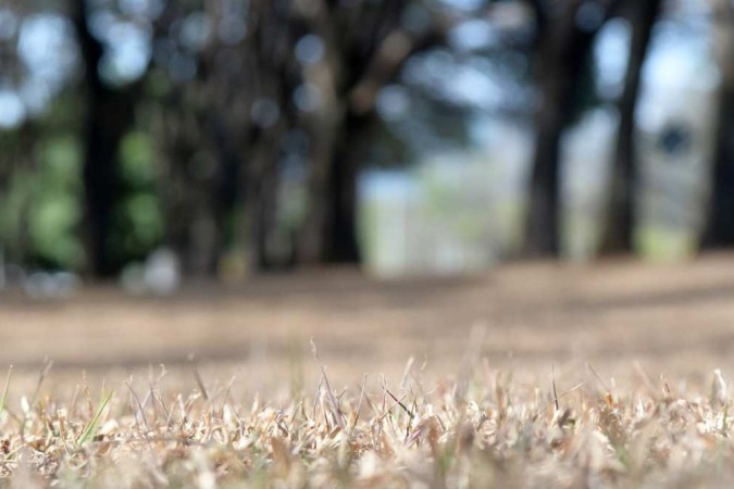 Previsão do tempo no DF: terça será de calor e umidade em 15%