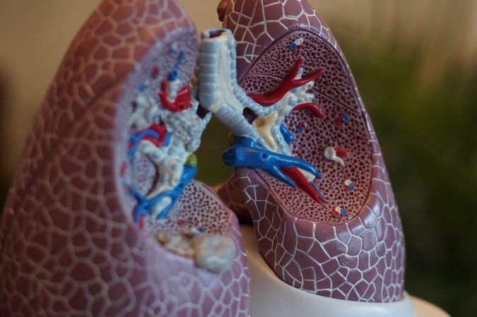 Segundo o Inca, em 2023 o câncer de pulmão registrou 18.020 novos casos entre homens, sendo o terceiro mais frequente, e 14.540 entre mulheres, ocupando a quarta posição - (crédito: Robina Weermeijer na Unsplash) Segundo o Inca, em 2023 o câncer de pulmão registrou 18.020 novos casos entre homens, sendo o terceiro mais frequente, e 14.540 entre mulheres, ocupando a quarta posição - (crédito: Robina Weermeijer na Unsplash)