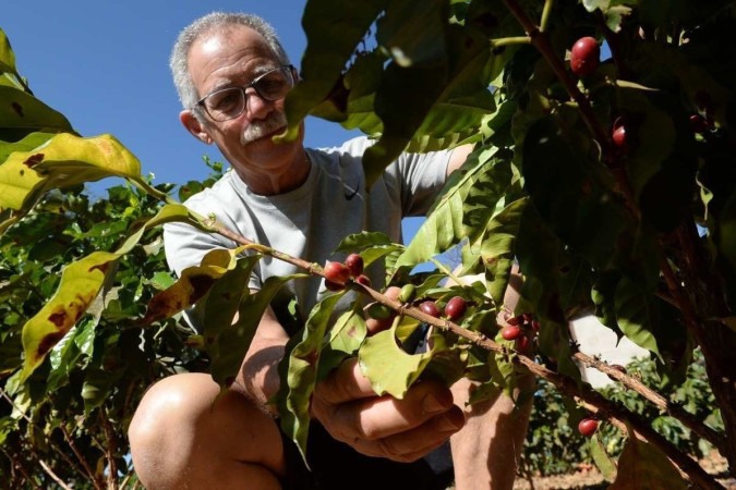  Rubens Alves: "Estou bastante animado, quero expandir o negócio, que era um cultivo apenas pessoal" -  (crédito: Minervino Júnior/CB/D.A.Press)