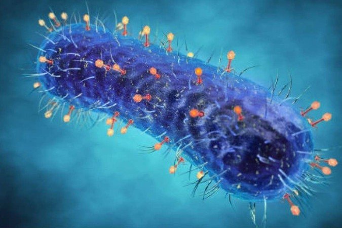 Fagos atacando uma bactéria: tratamento criado há mais de 100 anos foi abandonado com o surgimento da penicilina -  (crédito: Royal Society of Biology/Divulgação)