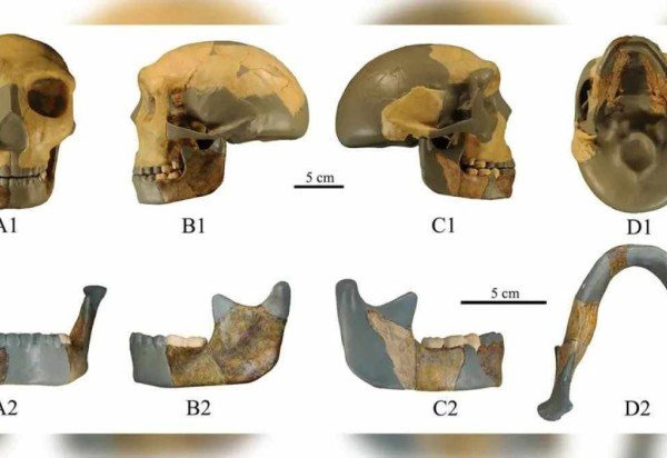 Reprodução/Xiujie Wu/Centro Nacional de Pesquisa em Evolução Humana