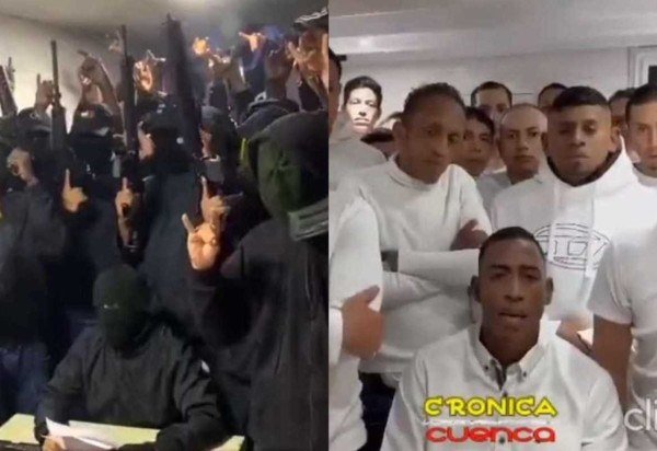 Reprodução/Twitter L_ThinkTank/Twitter @ecuainm_oficial