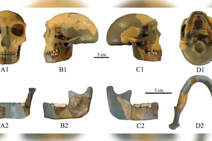 Crânio encontrado no leste da China, datado em 300 mil anos - (crédito: Reprodução/Xiujie Wu/Centro Nacional de Pesquisa em Evolução Humana) Crânio encontrado no leste da China, datado em 300 mil anos - (crédito: Reprodução/Xiujie Wu/Centro Nacional de Pesquisa em Evolução Humana)