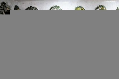  11/08/2023. Crédito: Minervino Júnior/CB/D.A Press. Brasil.  Brasilia - DF.  Velório da escritora e jornalista Dad Squaris no cemitério Campo da Esperança.